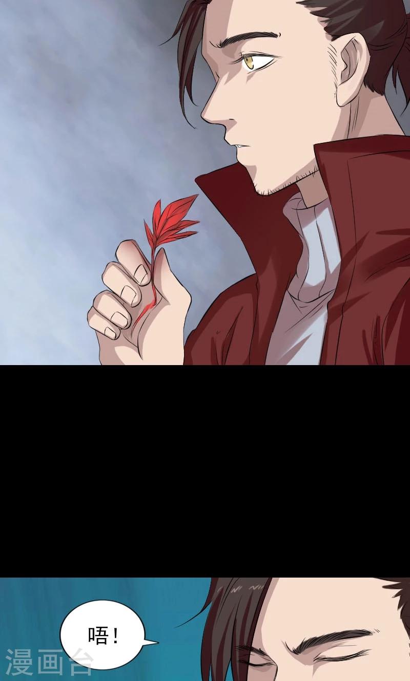 第166话-第168话