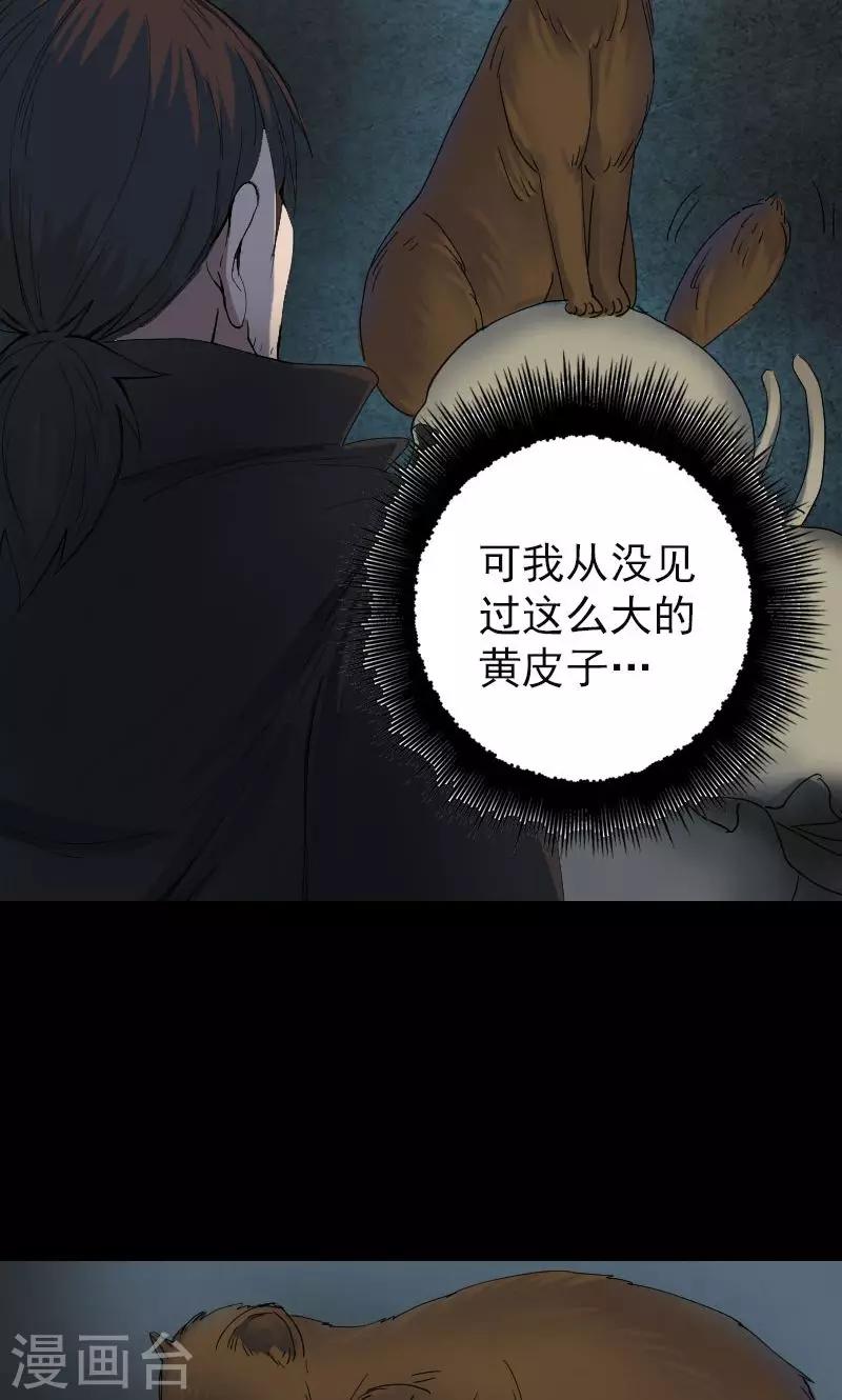 第47话-第48话