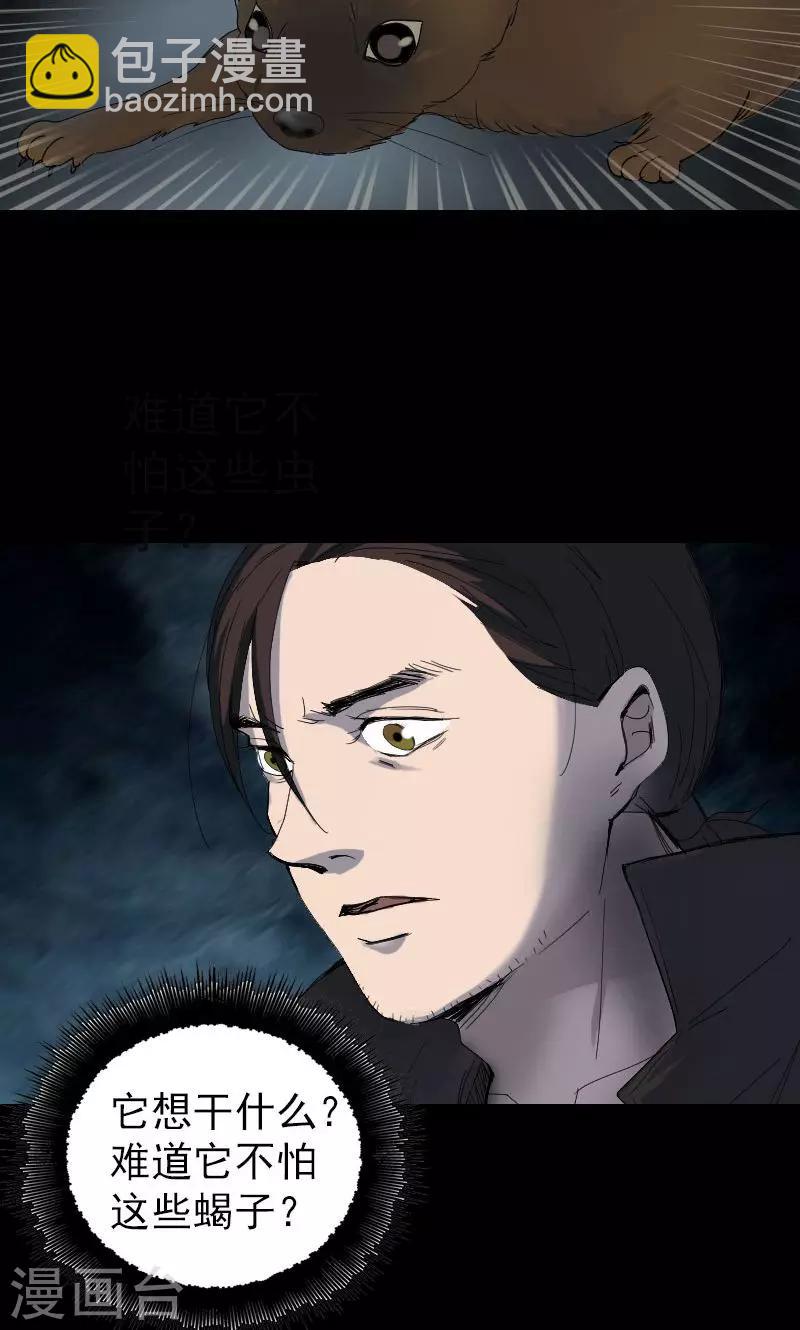 第47话-第48话