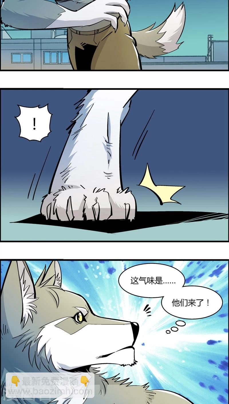 第176话 熊警察VS吸血鬼(4)-第176话