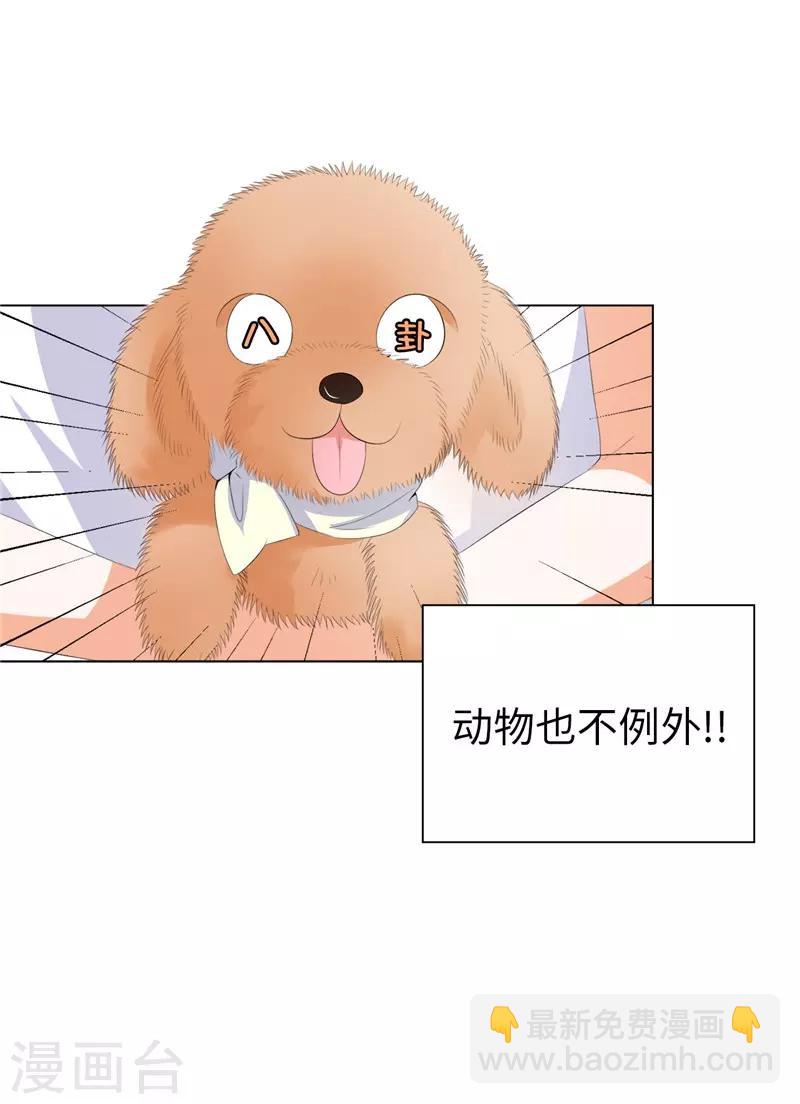 第23话 实力KO！-第24话