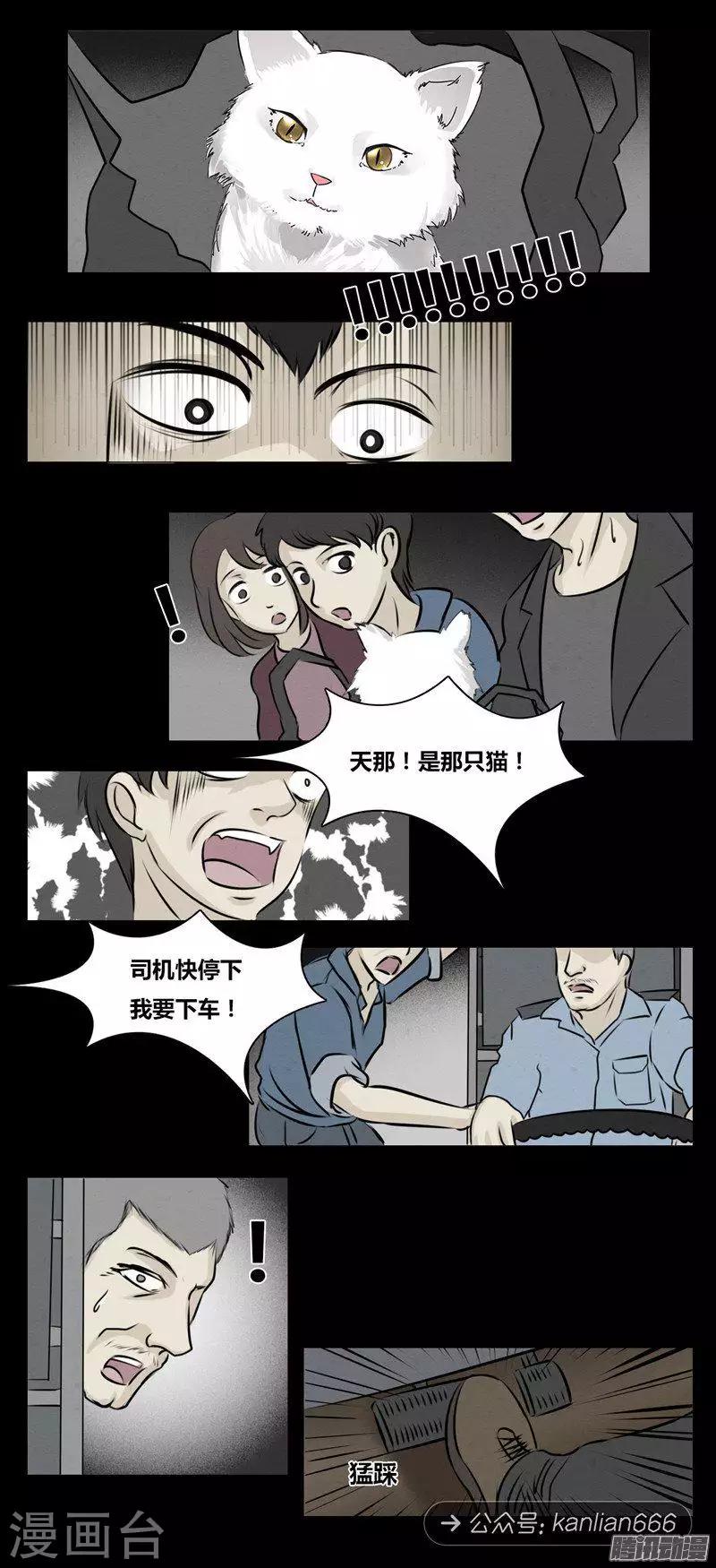 第101话 猫的诅咒-第106话