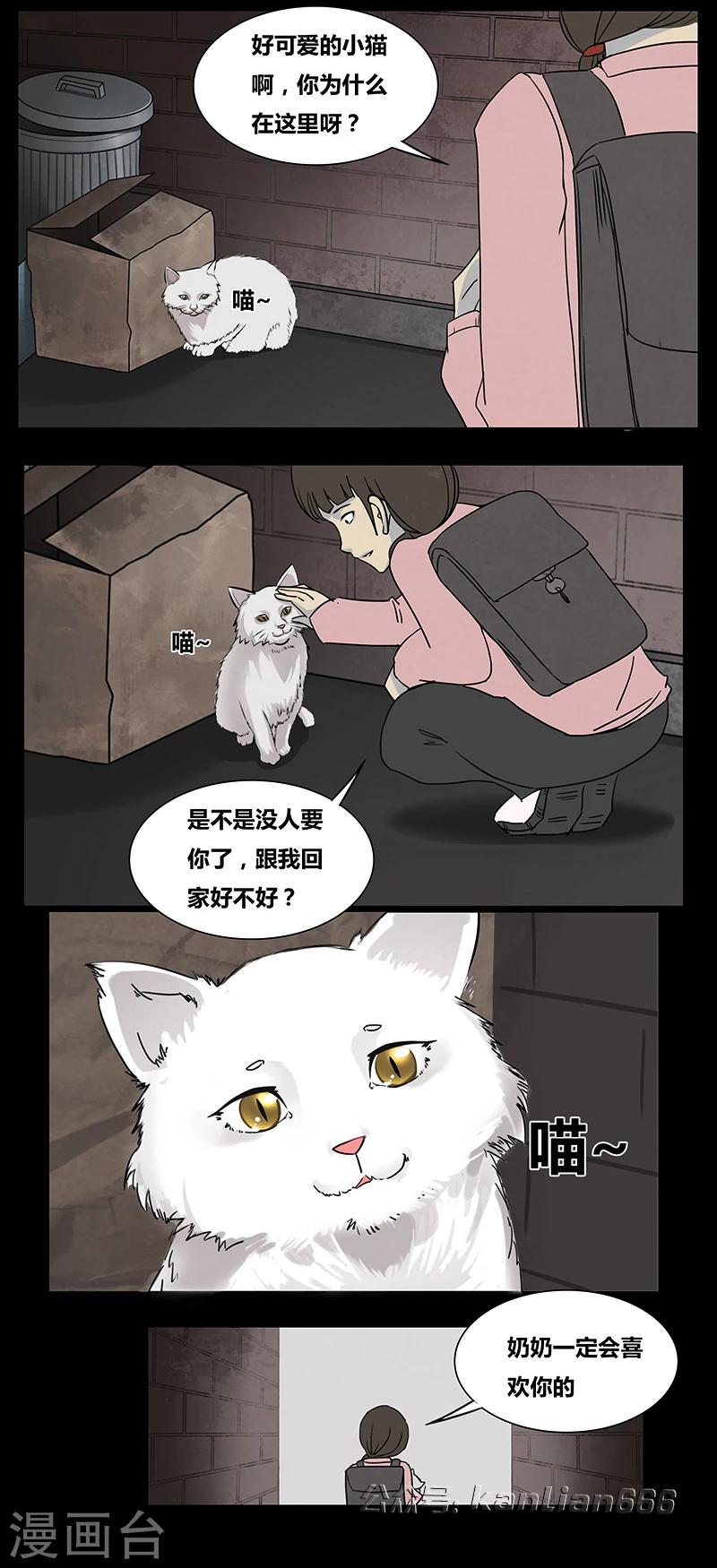 第55话 老人与猫-第60话