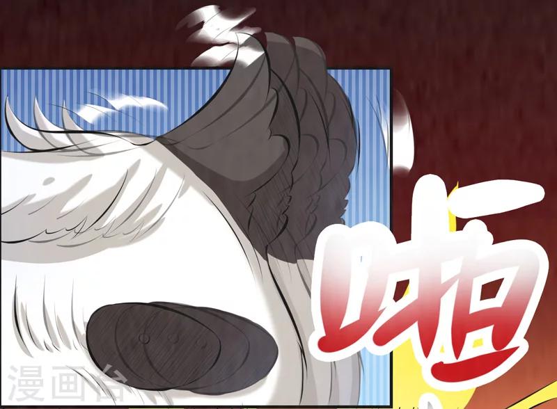 🍚修仙奇葩录 第38话 第19页