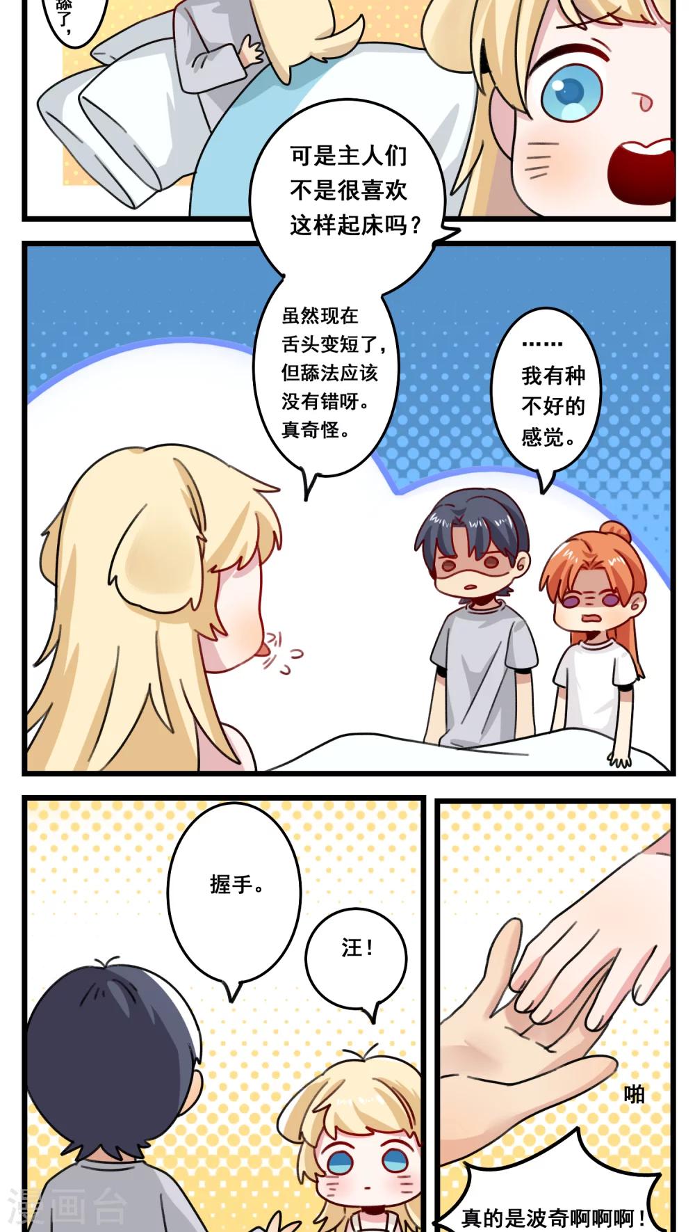 🍚修仙，修仙，你咋不上天 第41话 第3页