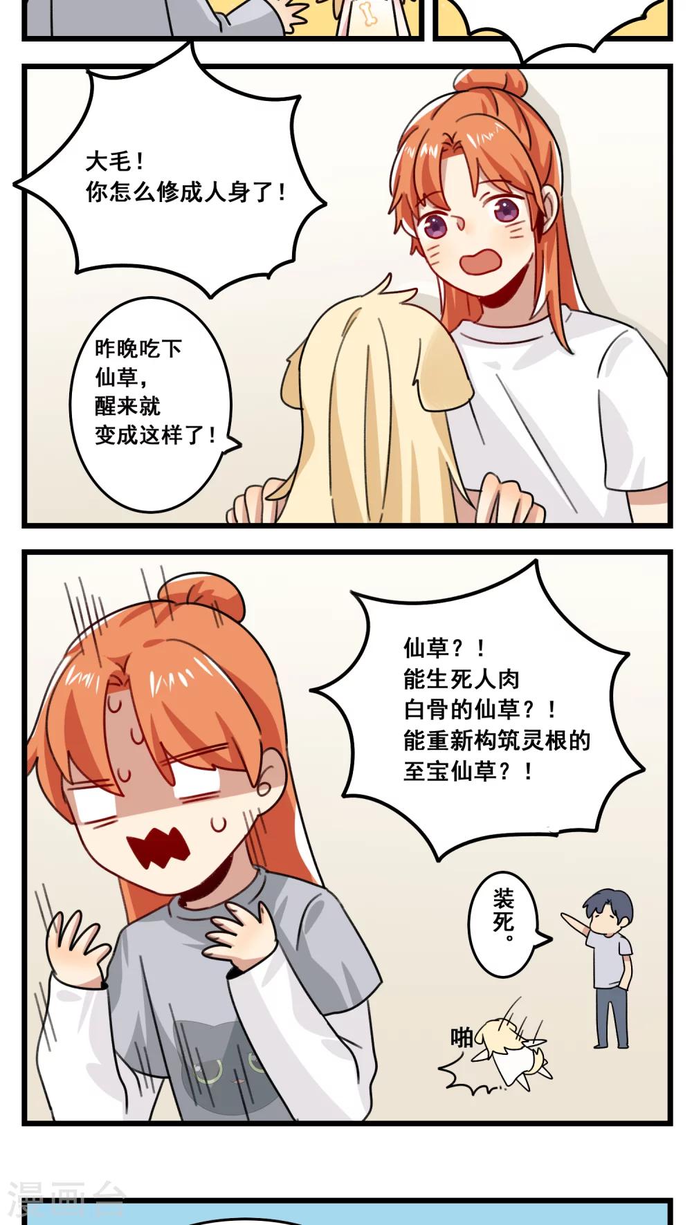🍚修仙，修仙，你咋不上天 第41话 第4页