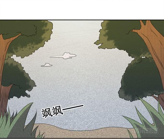 🍚修仙直播间 禽兽！放开我的纯钧 第13页