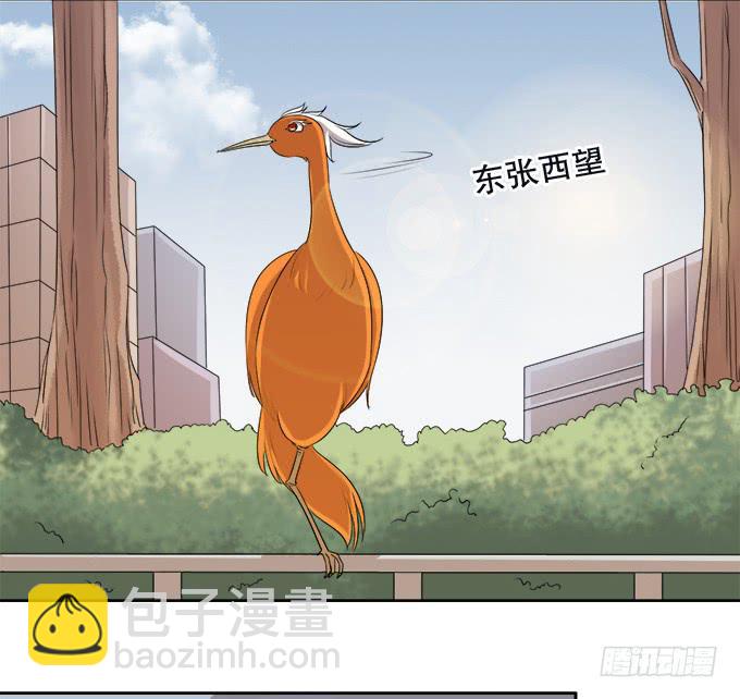 🍚修仙直播间 修仙者能跟普通人一样吗？ 第13页