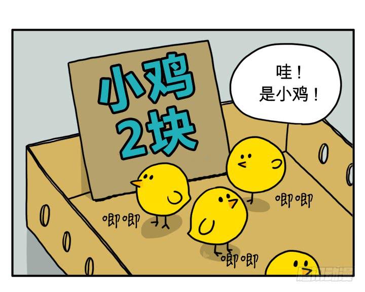 小鸡-第118话