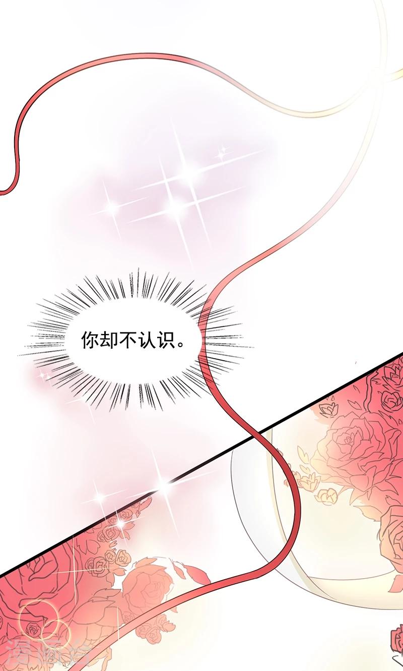 第1话 替嫁？荒唐的婚礼(1/2)-第2话