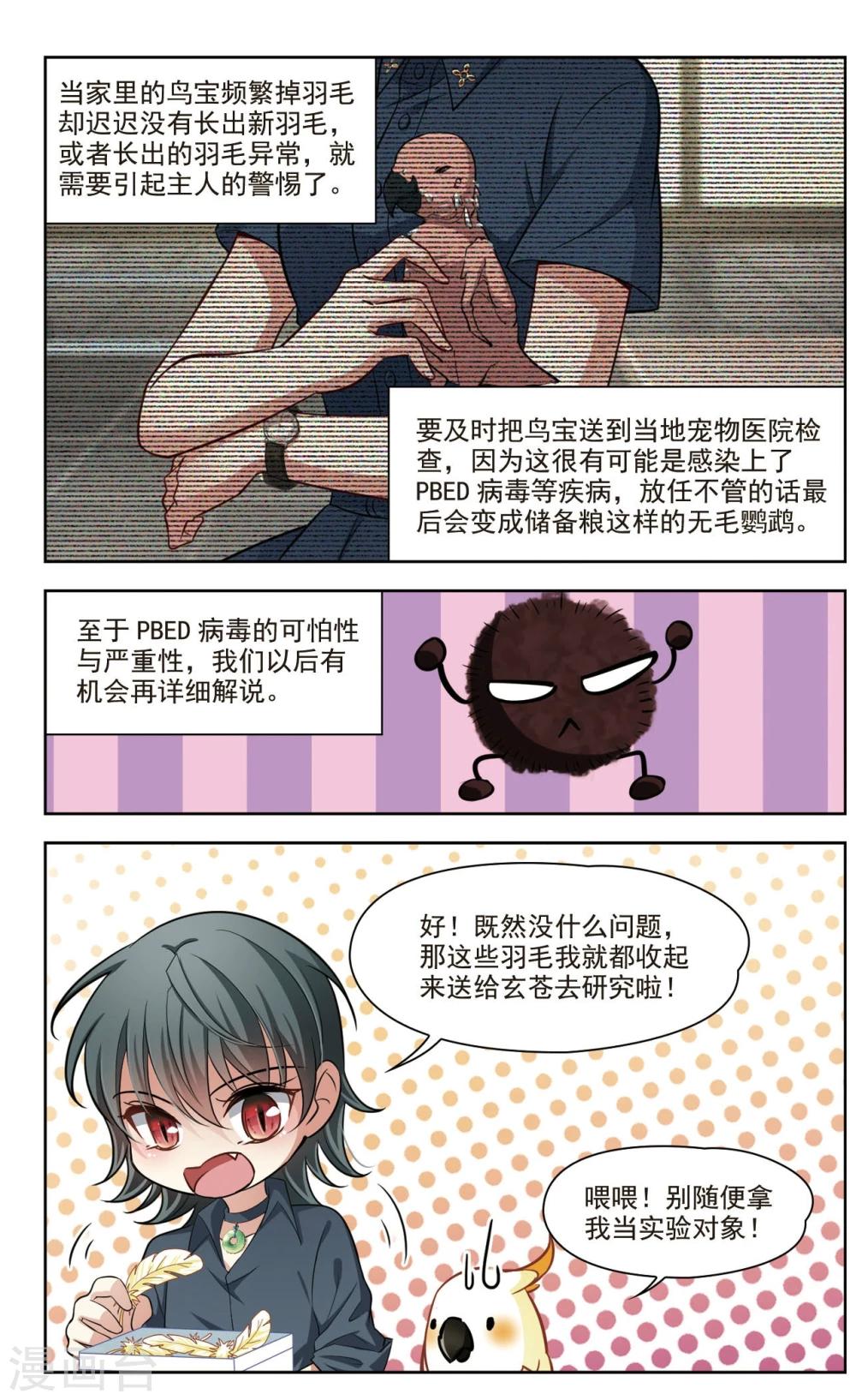 🍚玄羽恋歌 第38话 新的开始3 第11页