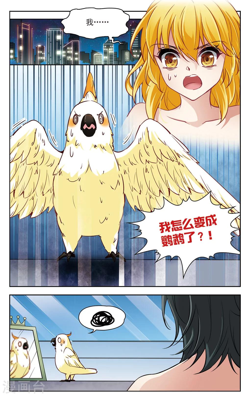 🍚玄羽恋歌 第6话 救命！我变成鹦鹉了？！1 第3页