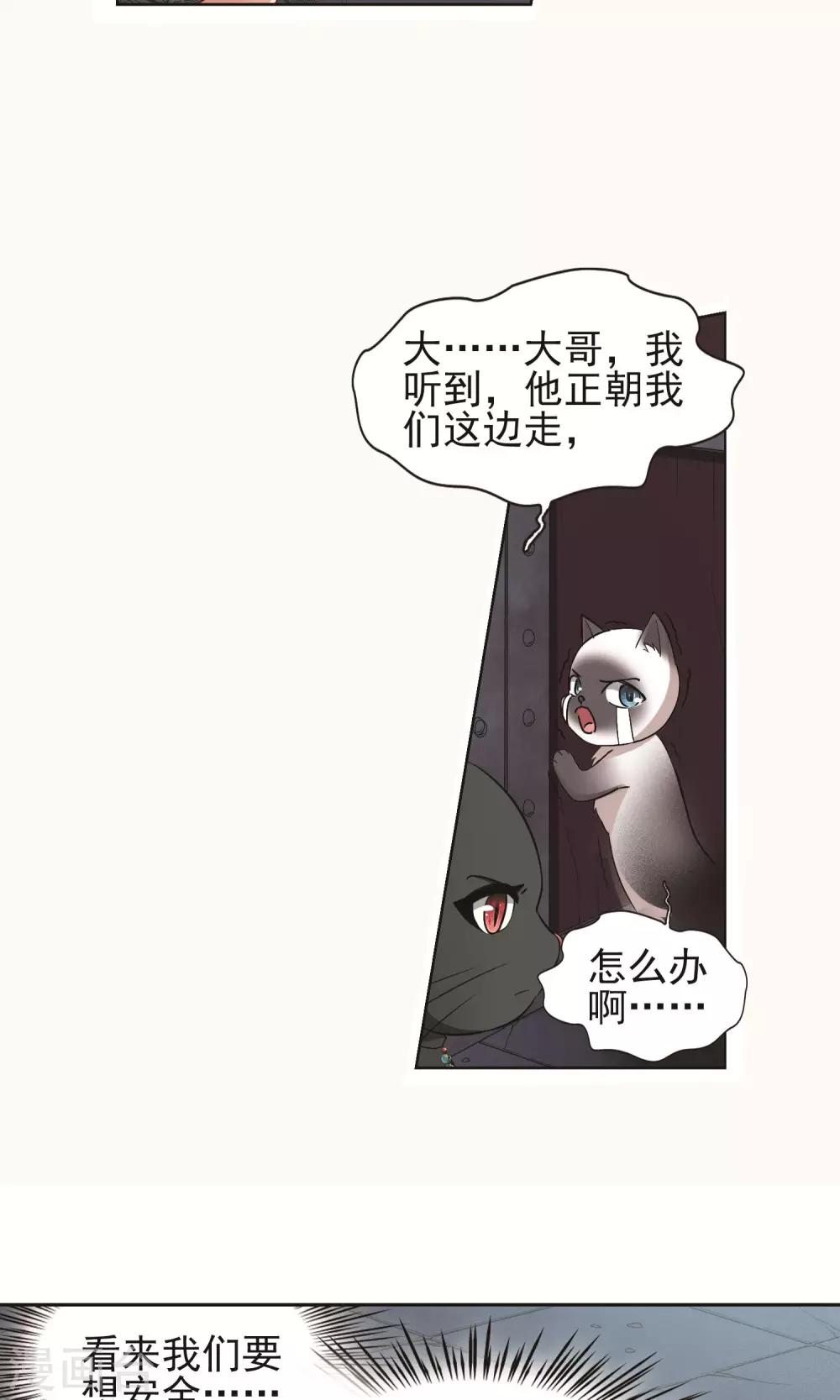 🍚玄羽恋歌 第60话 最后想见的人1 第19页