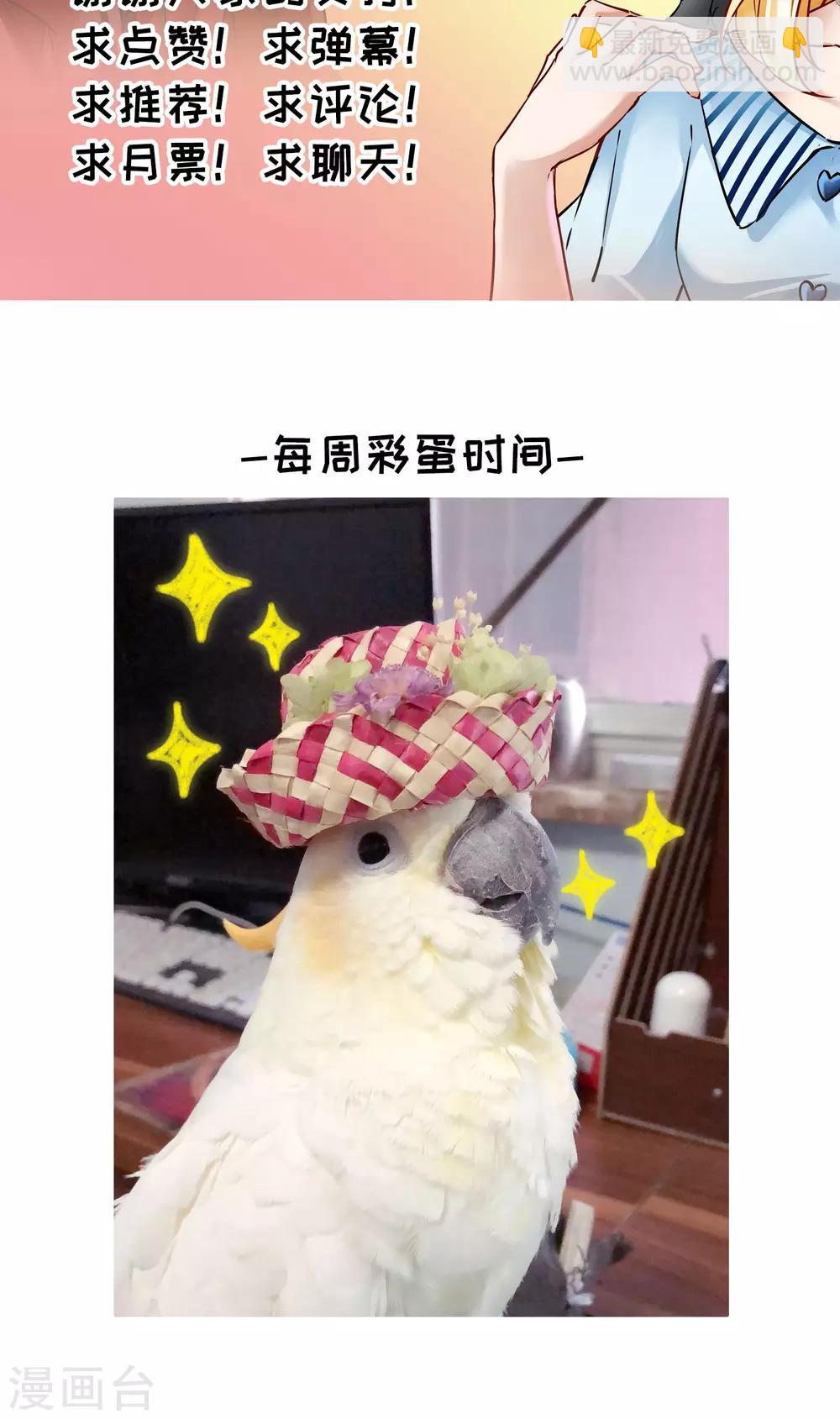 🍚玄羽恋歌 第69话 前往悠蓝岛2 第26页