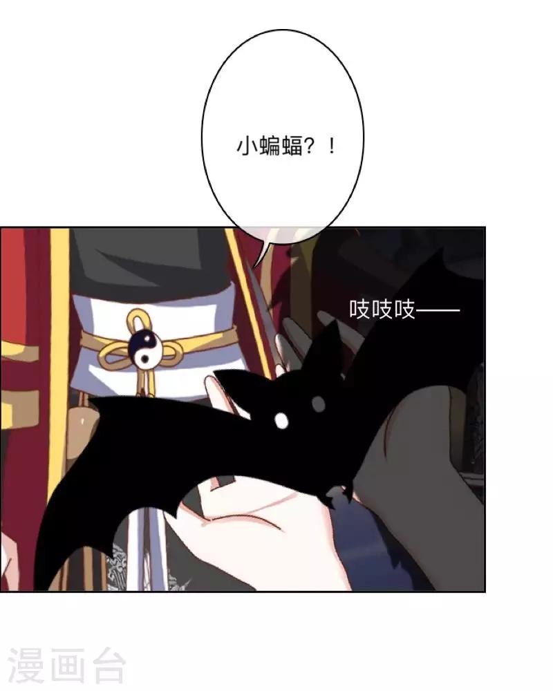 第35话 这鬼族是傻子吗？-第36话