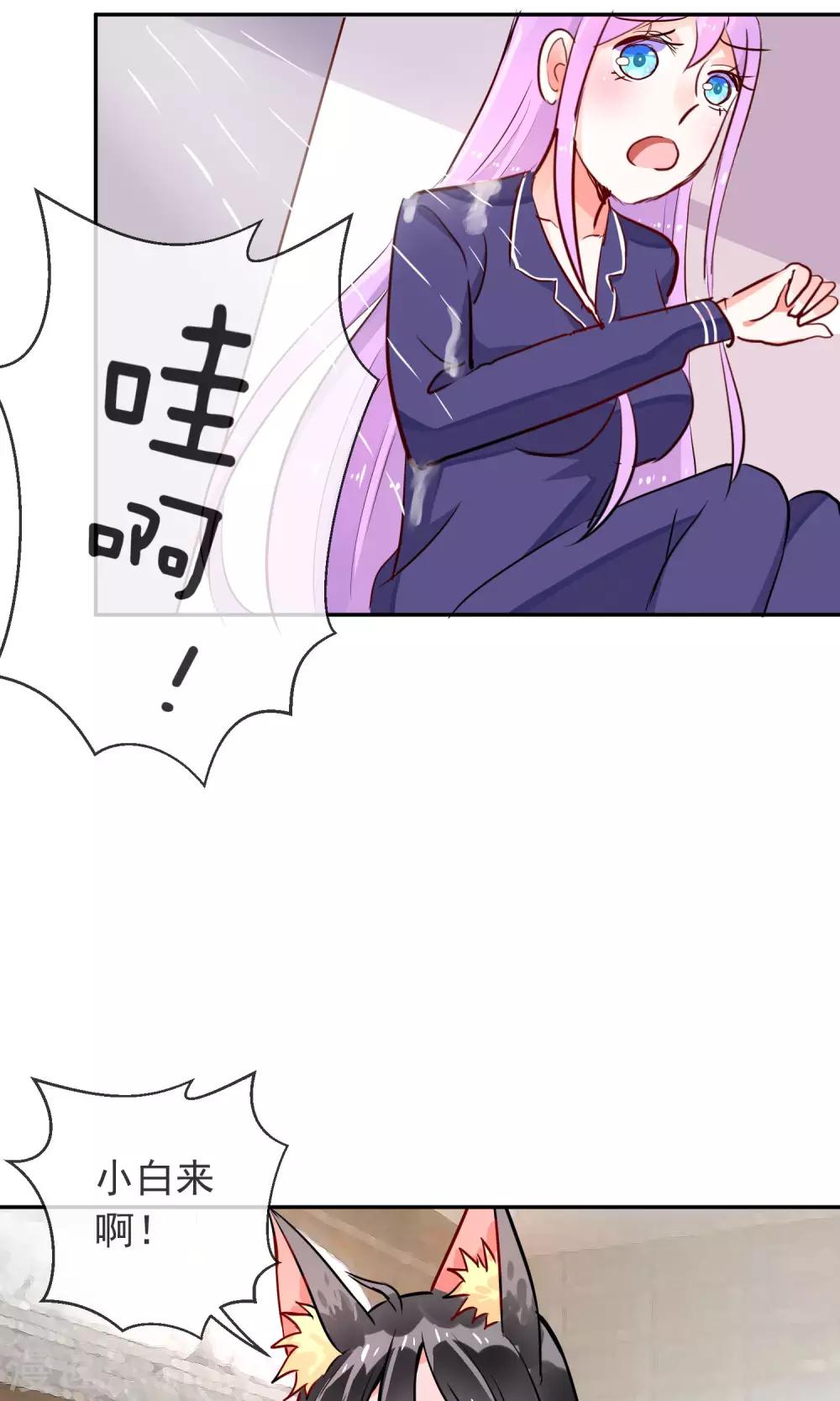 第25话 猫薄荷香-第26话