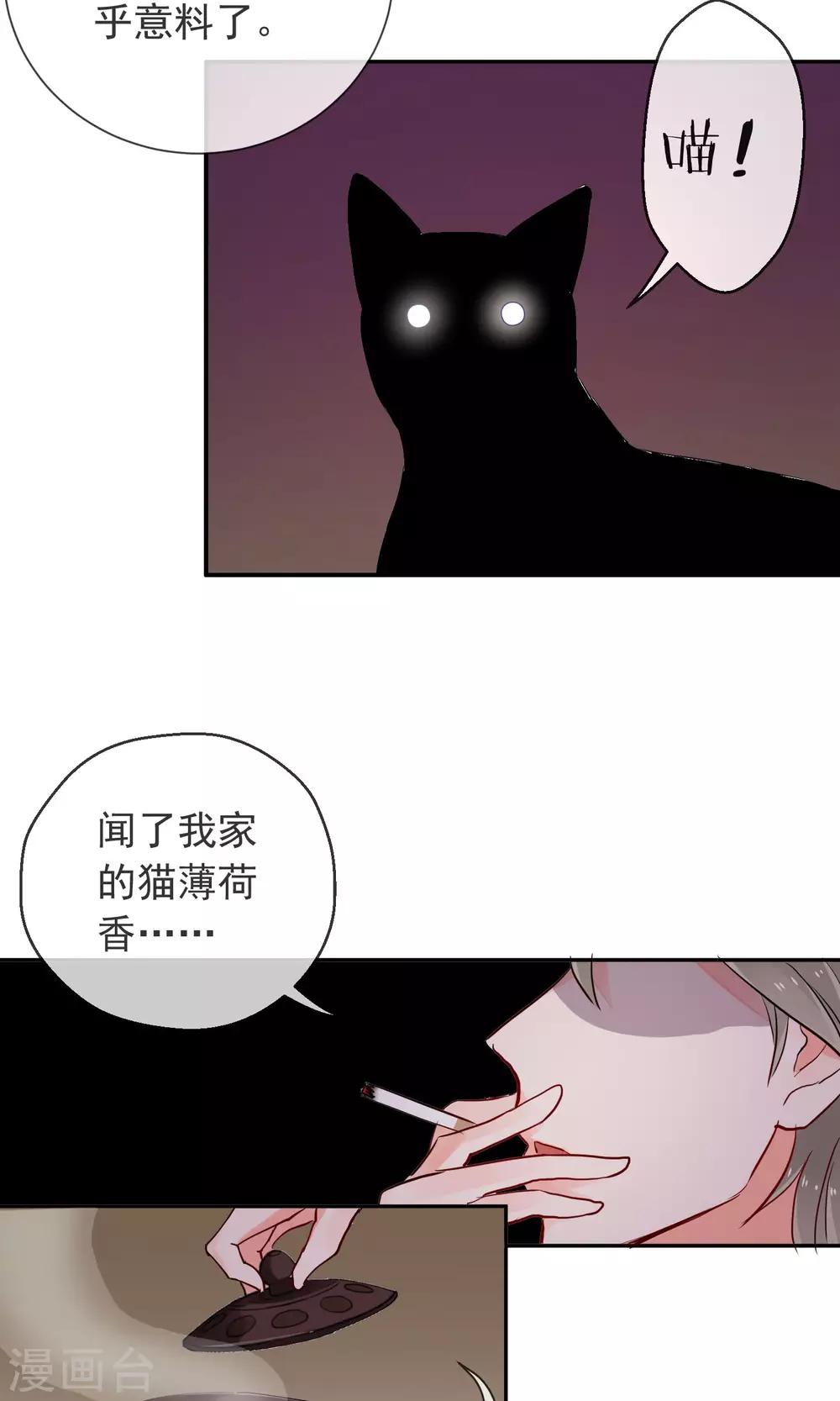 第25话 猫薄荷香-第26话
