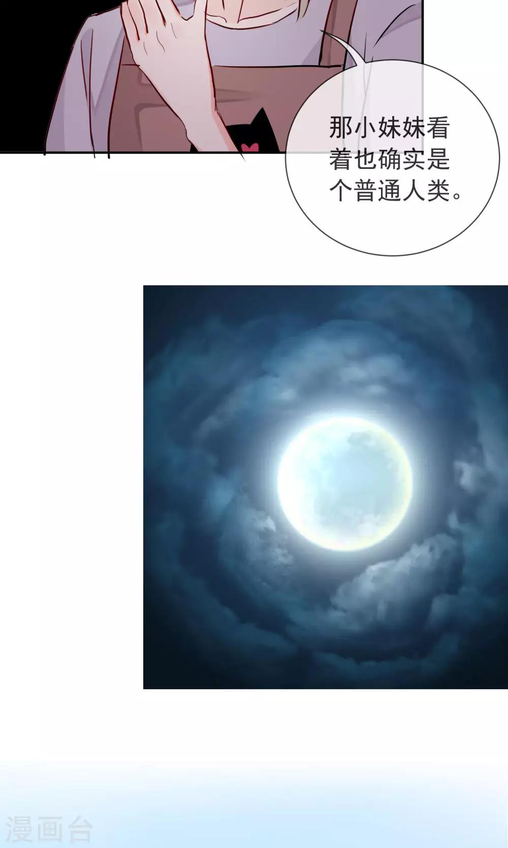 第25话 猫薄荷香-第26话