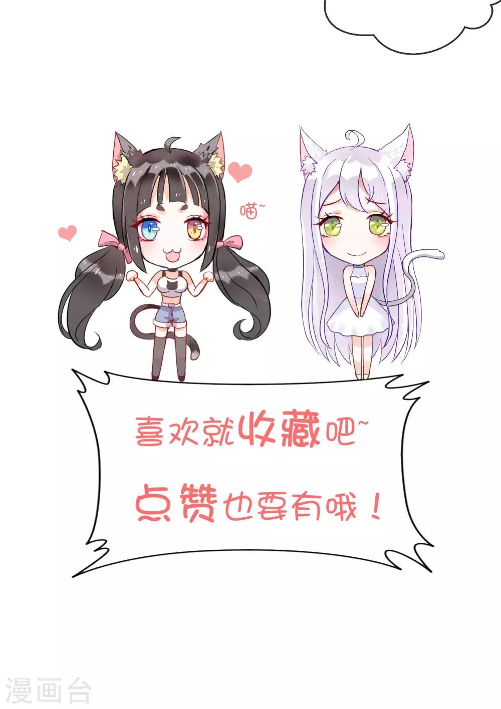 第25话 猫薄荷香-第26话