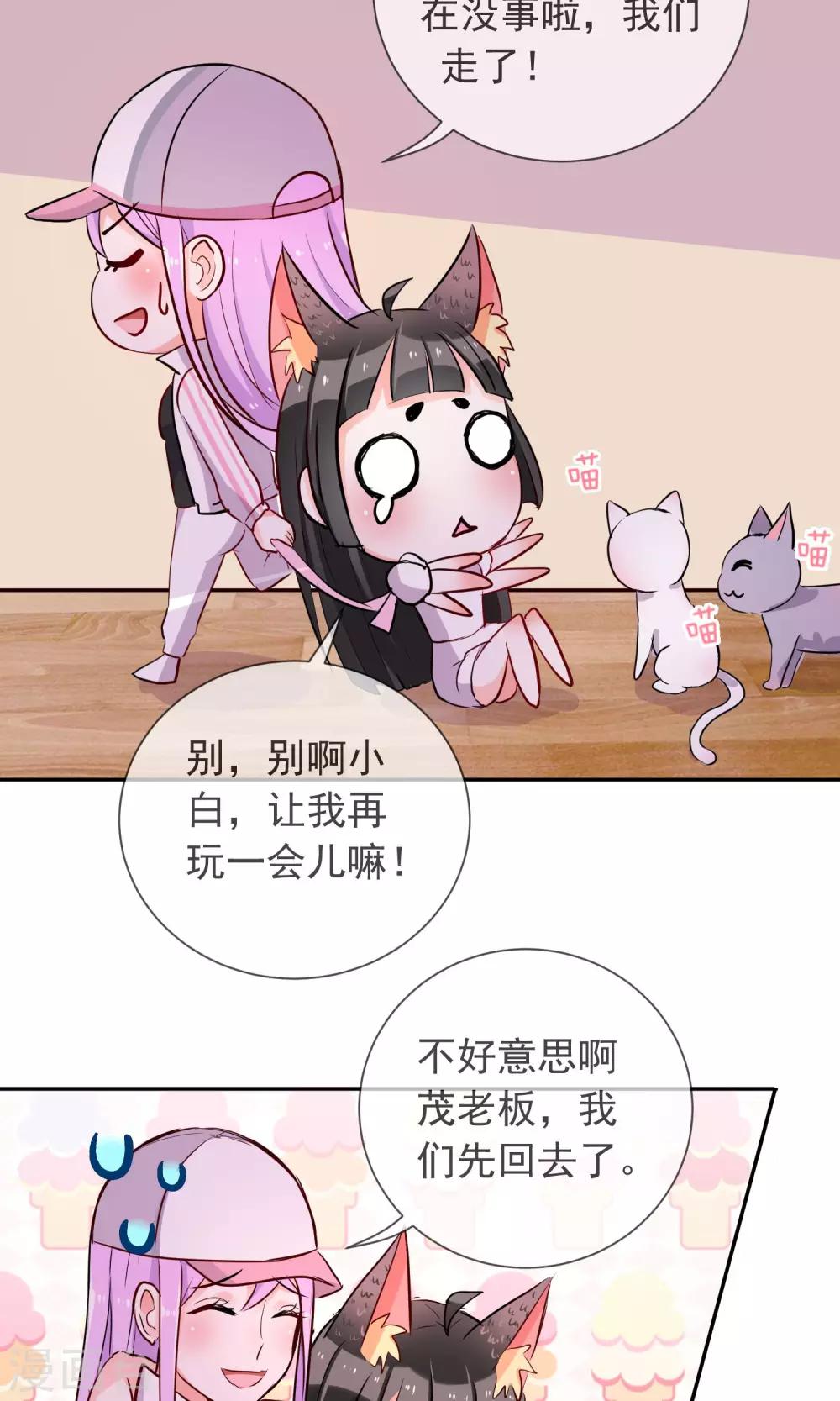 第25话 猫薄荷香-第26话