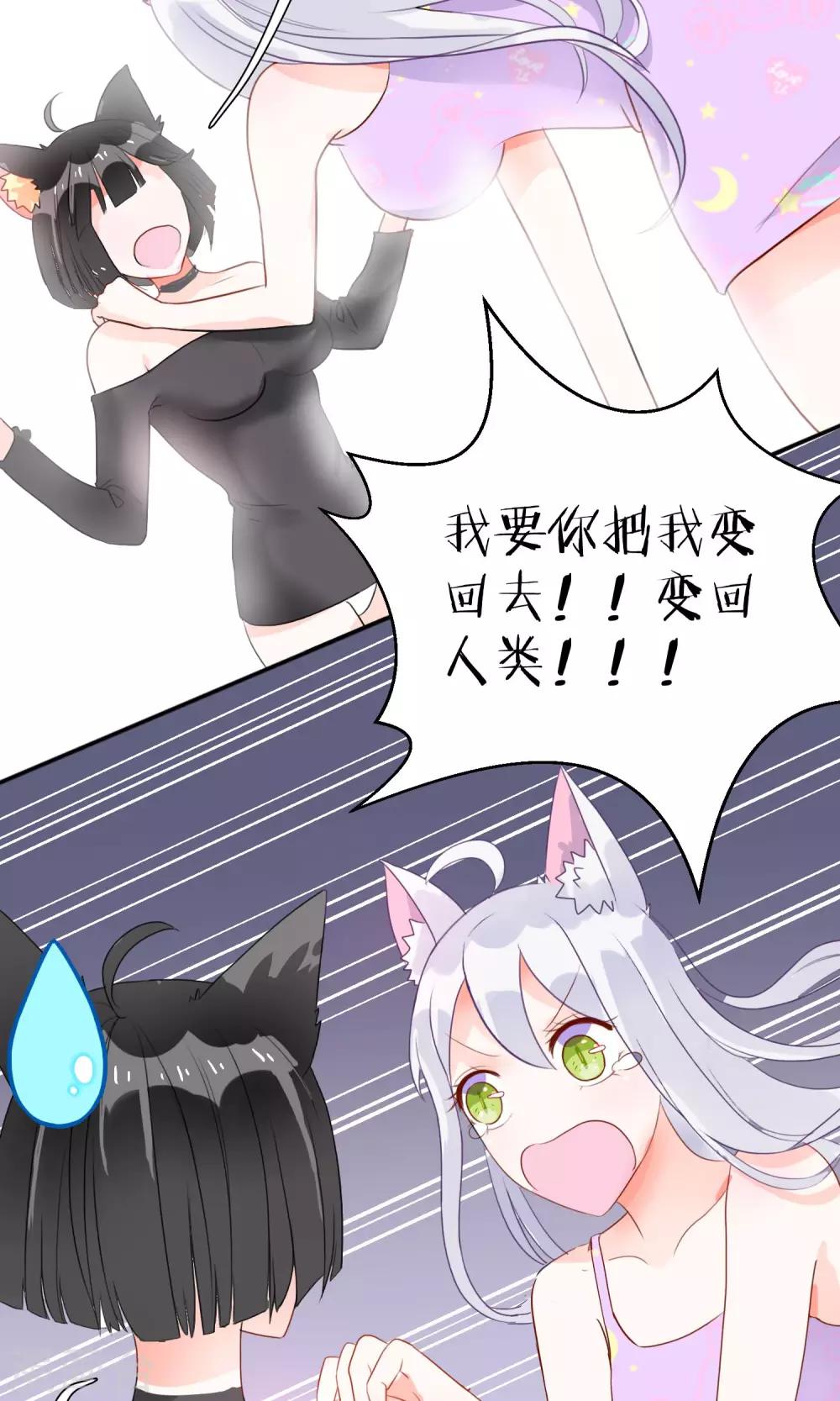 第3话 兽娘你好萌-第4话