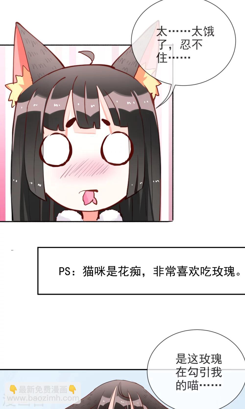 第42话 三人约会-第44话