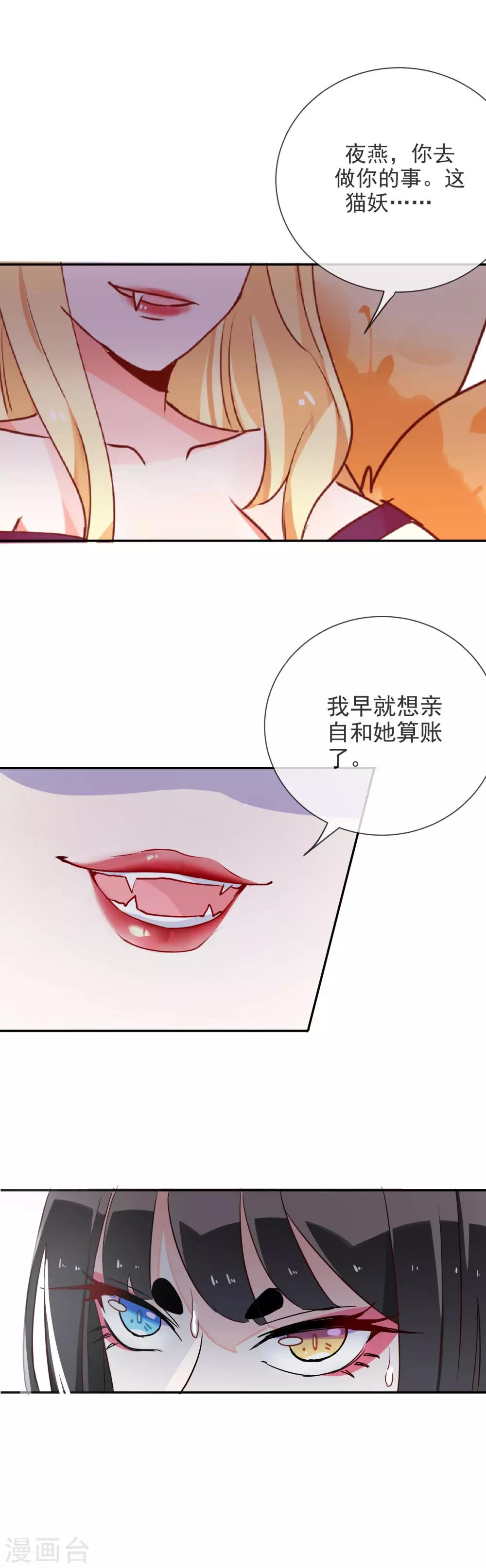 第71话 狐狸VS猫-第76话