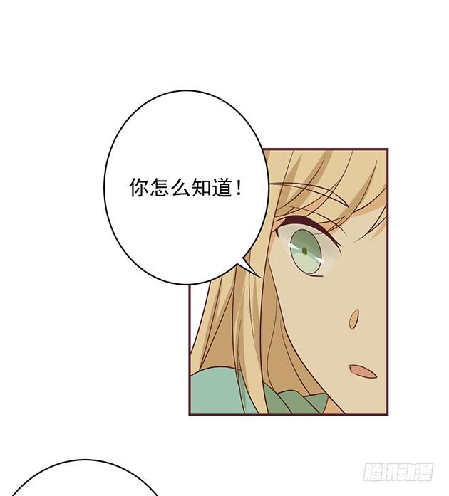相同的身份(1/2)-第20话