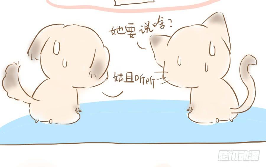 12话 三样宝物(1/2)-第12话