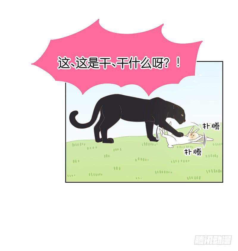 13.王百万使坏(1/2)-第14话