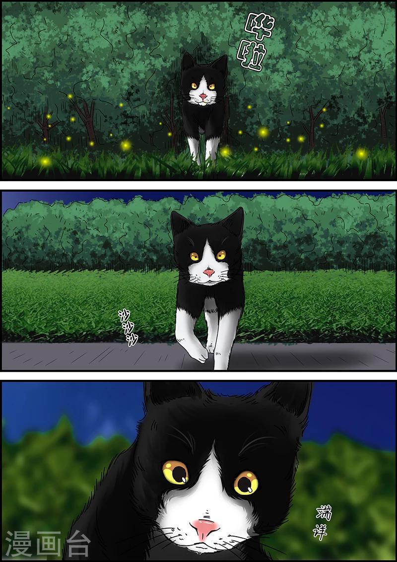 第32话 猫的巡礼-第32话