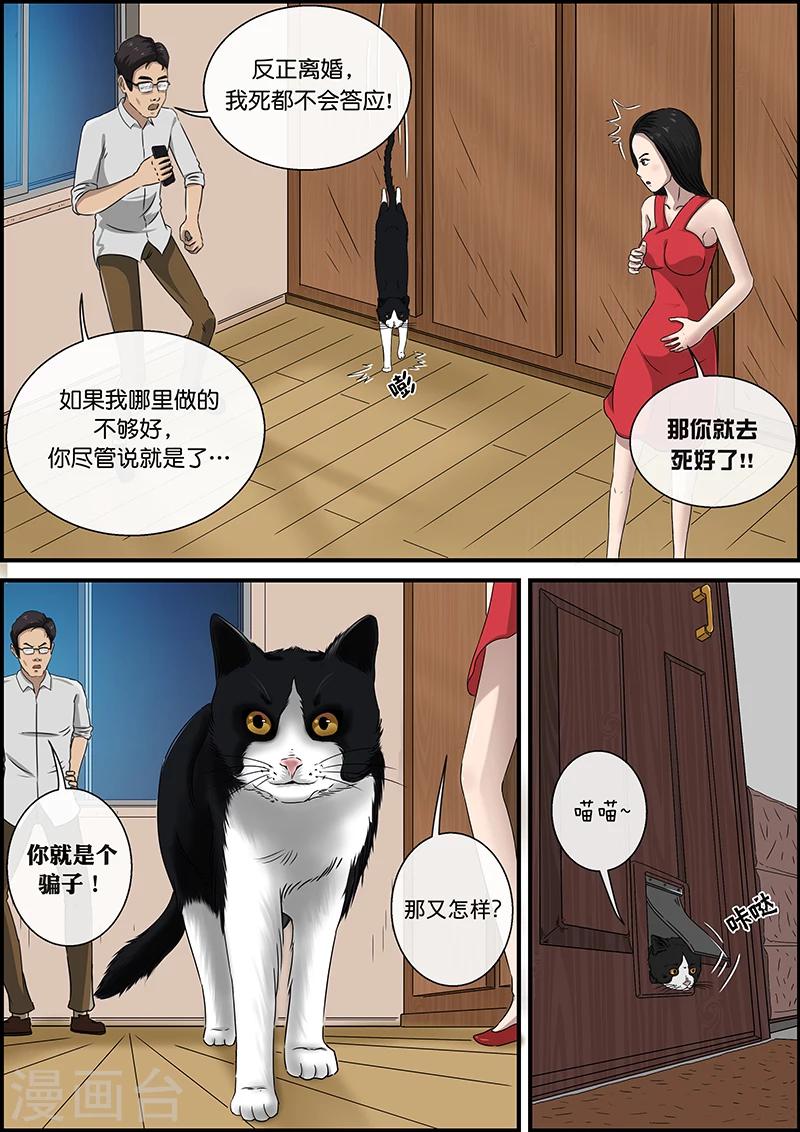 第32话 猫的巡礼-第32话