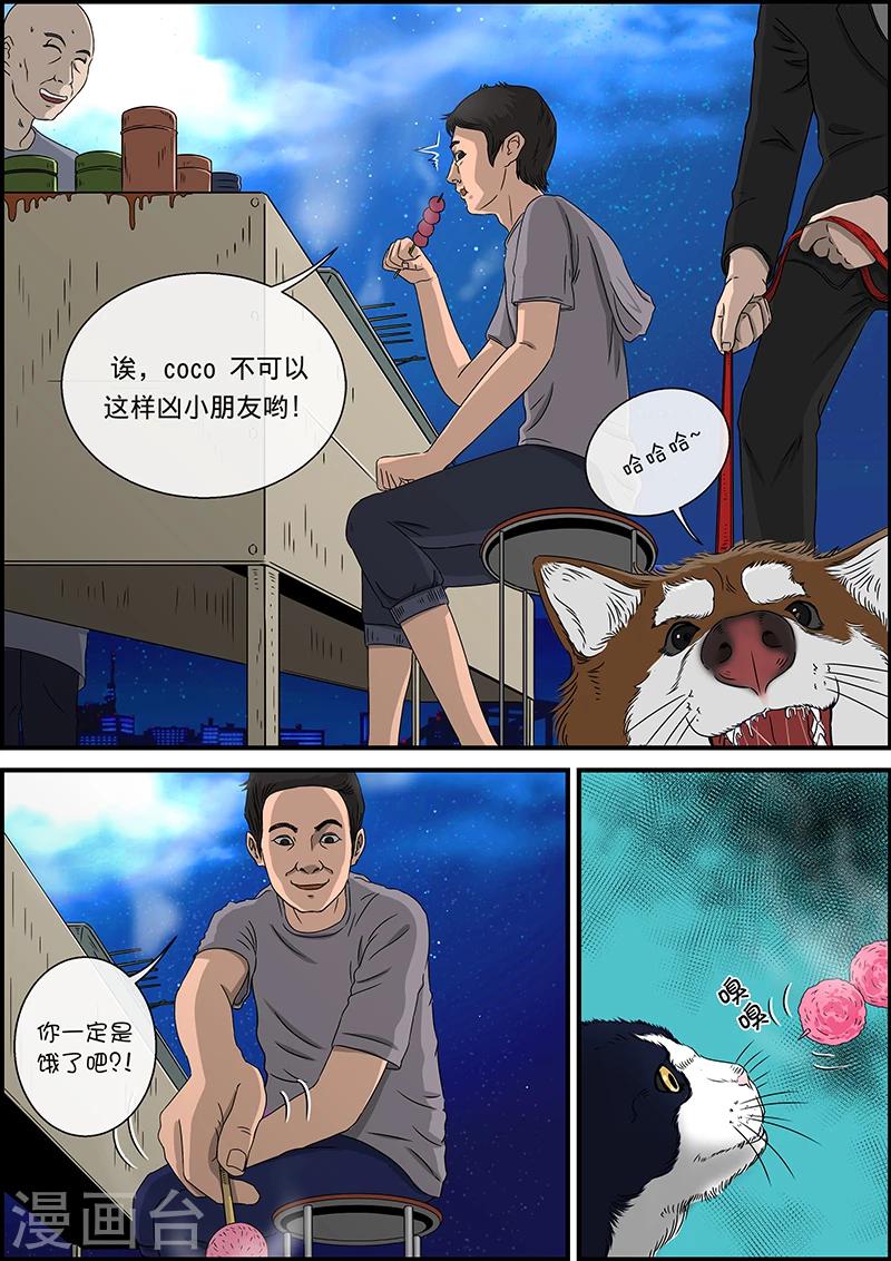 第32话 猫的巡礼-第32话
