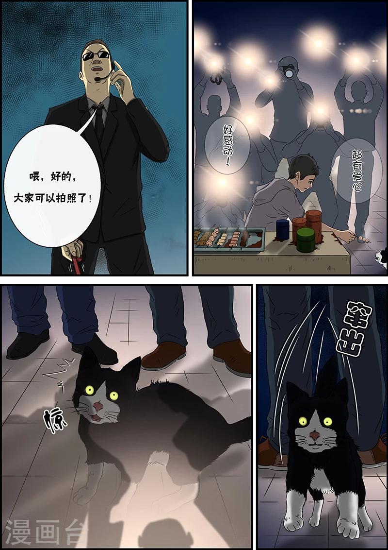 第32话 猫的巡礼-第32话