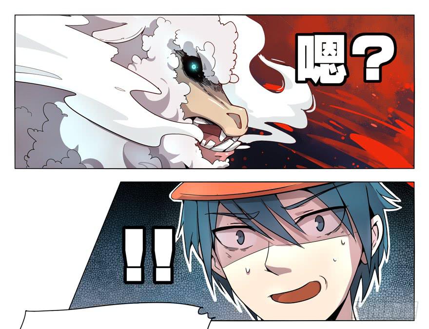 奇葩动物在那里-第2话