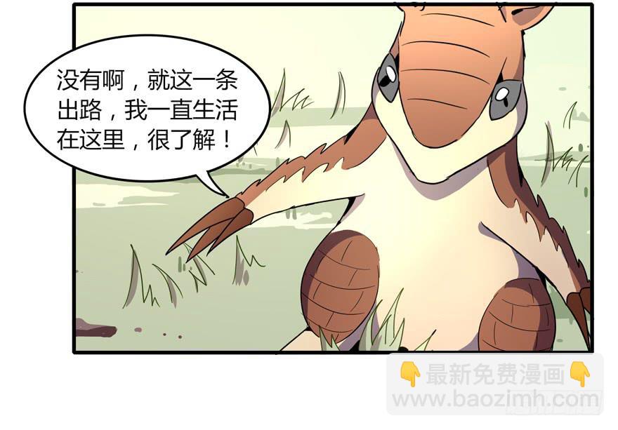 动物奇妙物语(1/2)-第104话