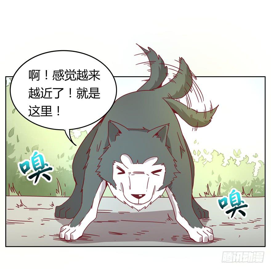 鼠疫(1/2)-第20话