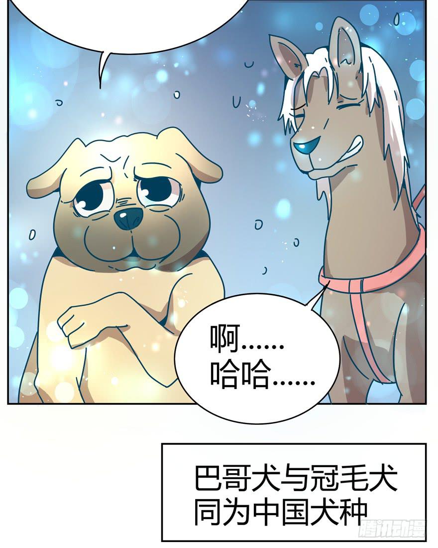 新年快乐！(1/2)-第24话