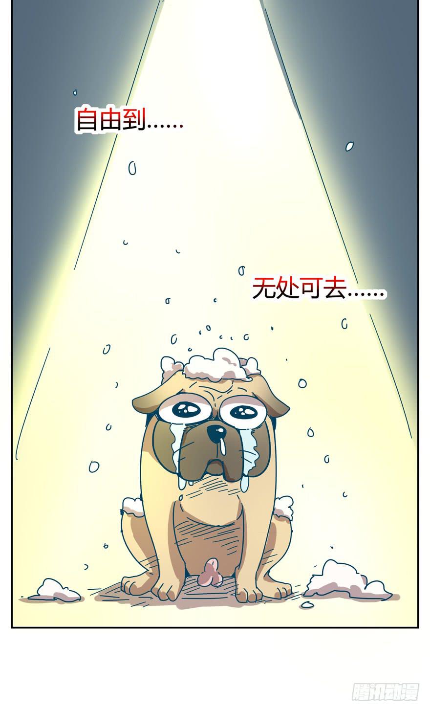 新年快乐！(1/2)-第24话