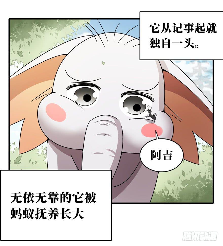 欢乐马戏人(1/2)-第44话
