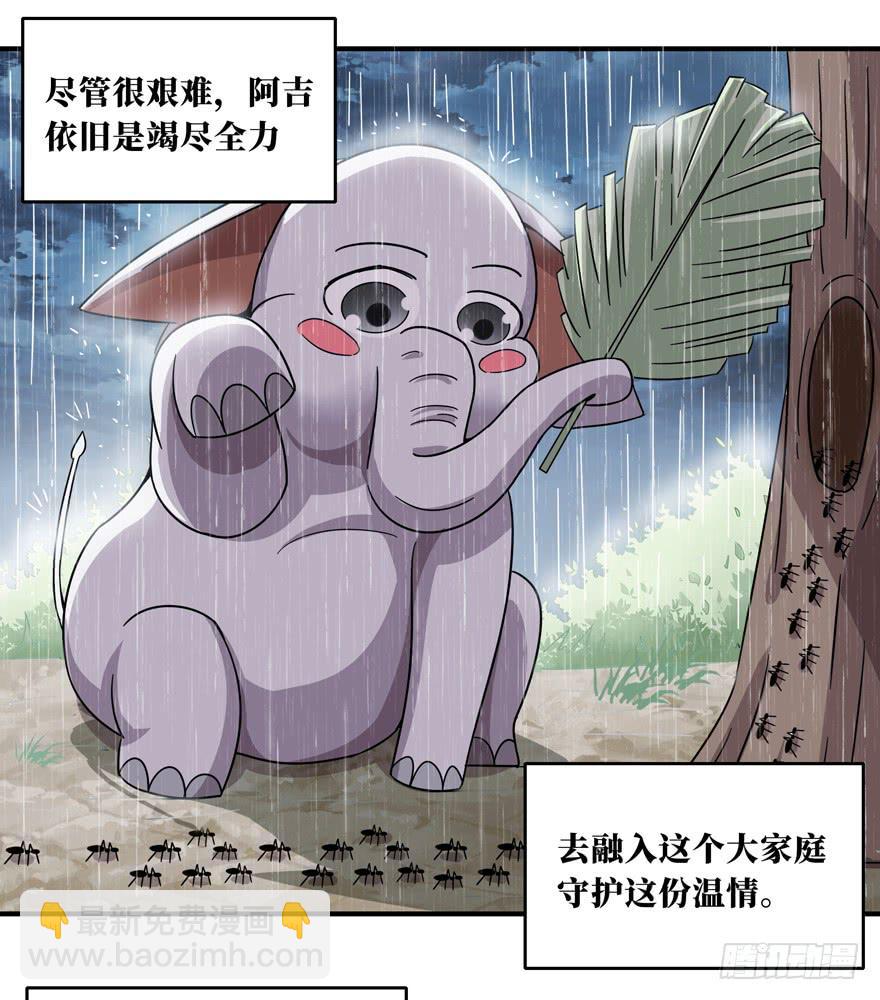 欢乐马戏人(1/2)-第44话