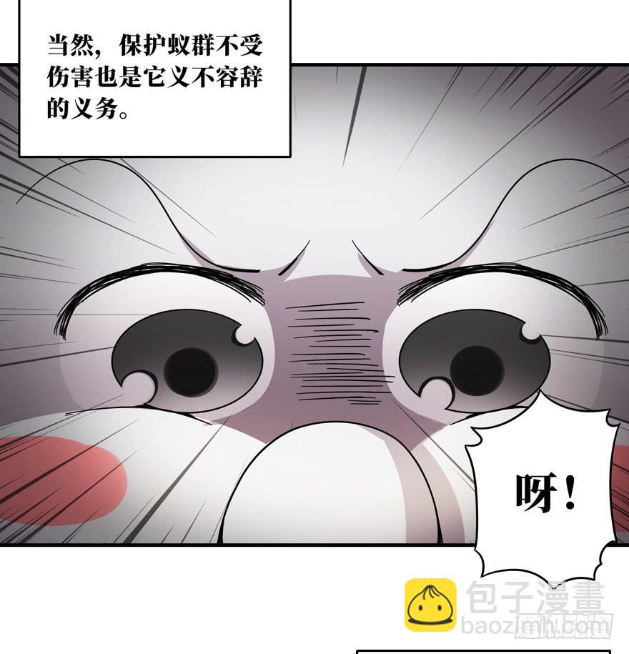 欢乐马戏人(1/2)-第44话