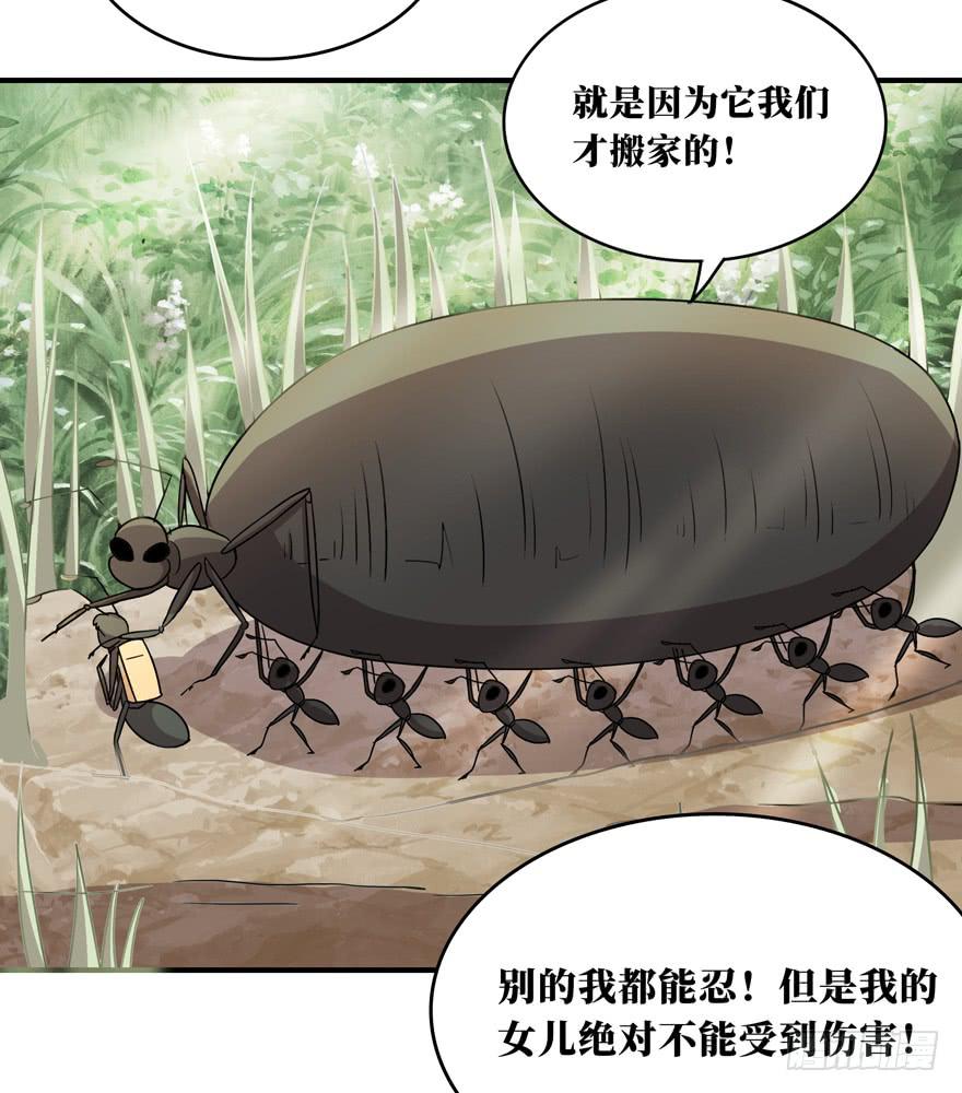 欢乐马戏人(1/2)-第44话