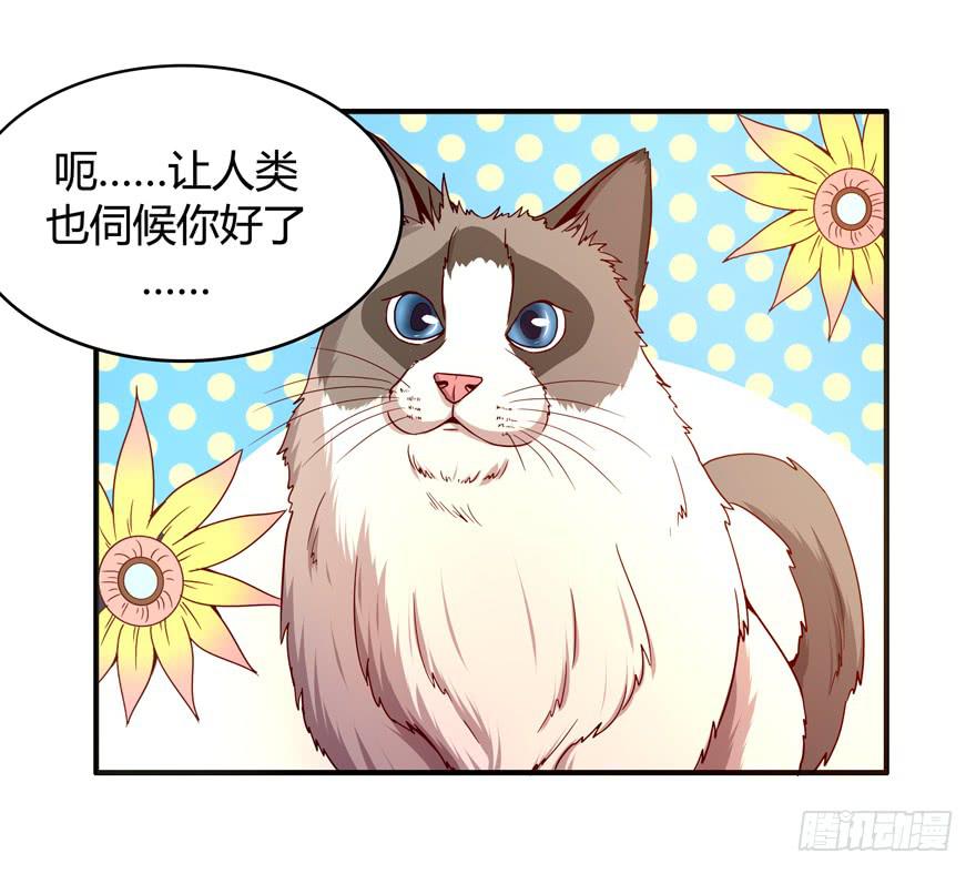 鱼锅风波(1/2)-第64话