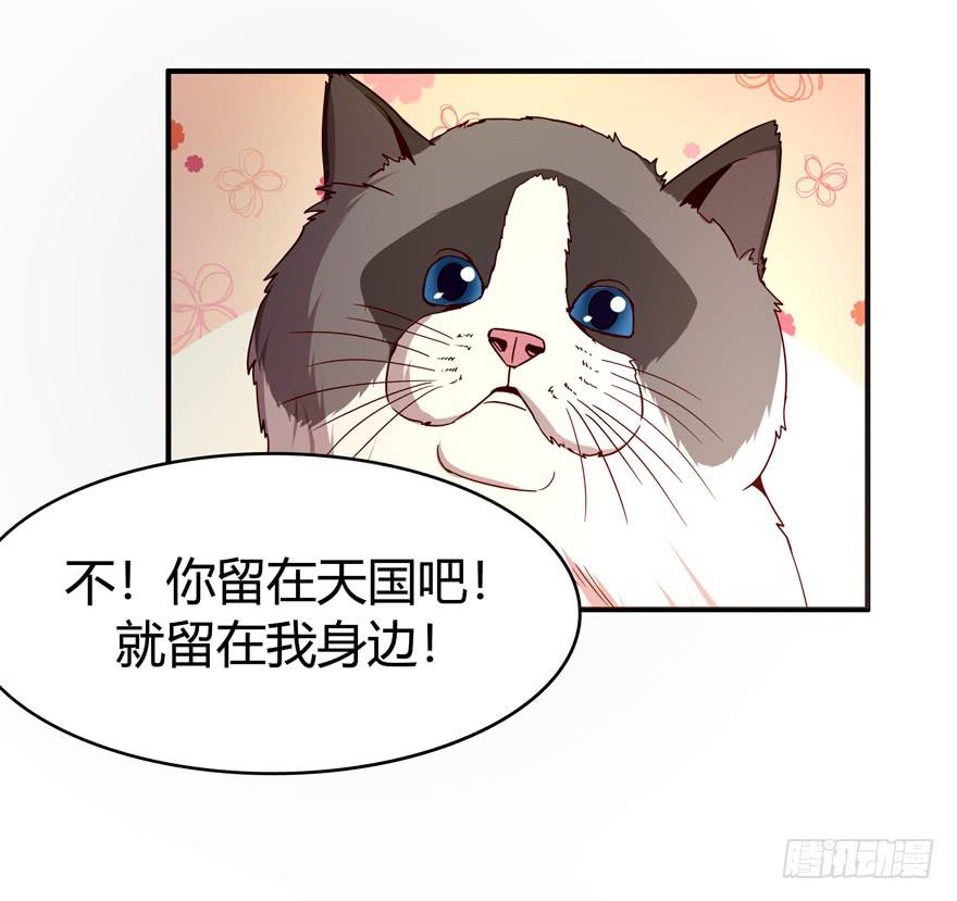 鱼锅风波(1/2)-第64话