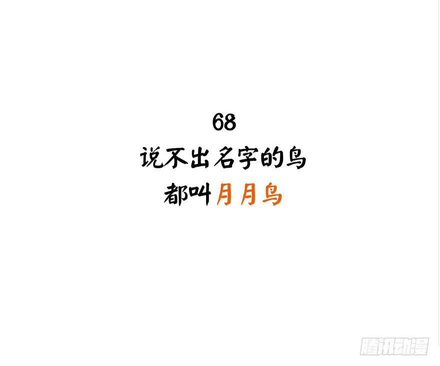 叫不出名字的鸟 都叫月月鸟(1/2)-第68话