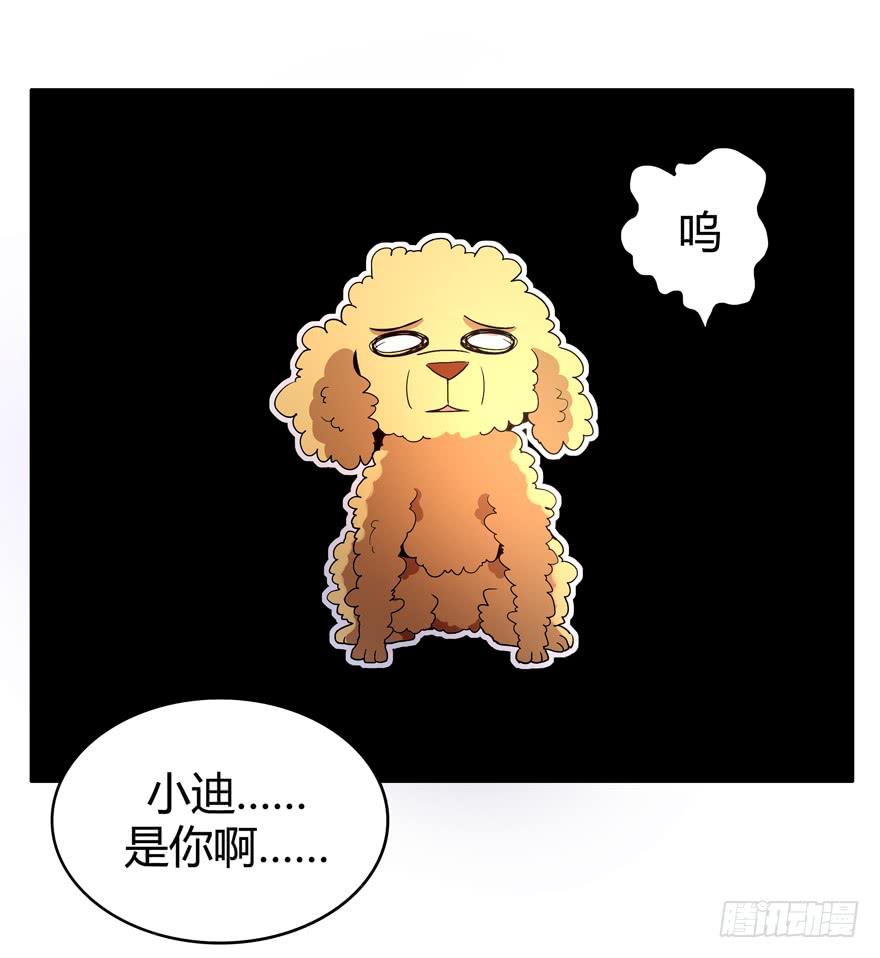 军犬的荣耀(1/2)-第78话