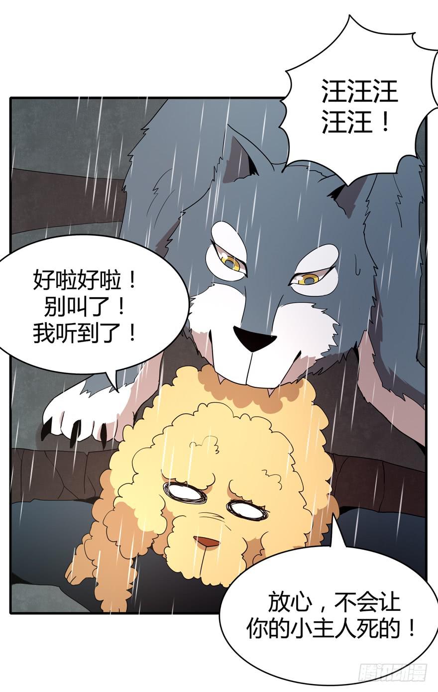 军犬的荣耀(1/2)-第78话