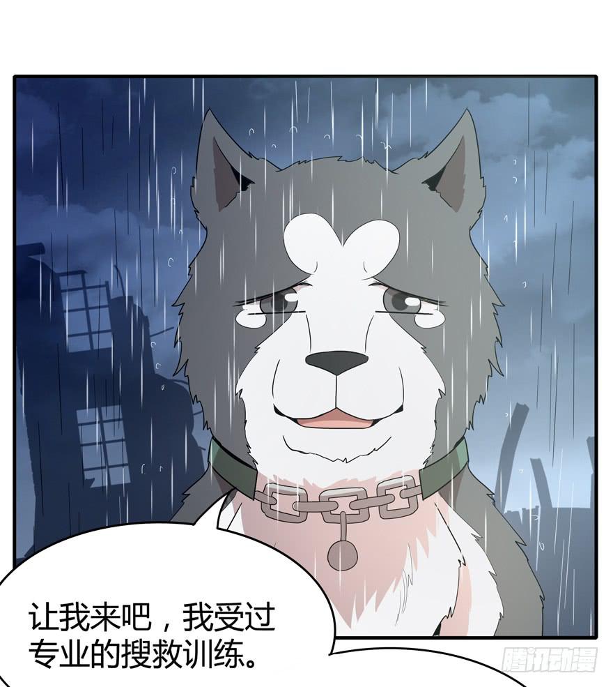 军犬的荣耀(1/2)-第78话