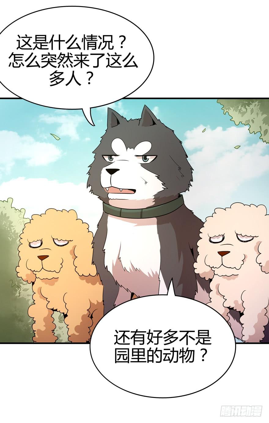 创造动物园(1/2)-第80话